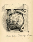 L'oiseau mangeur de serpents.