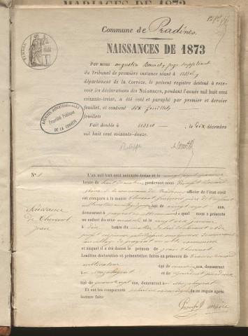 Naissances, mariages, décès (1873-1882)