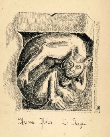 Le singe.