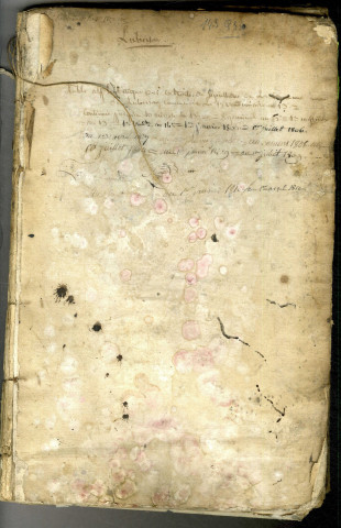 An XIII-1810