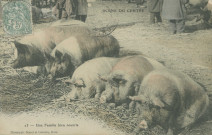 Folklore : "Scène du Centre - 23 - Une famille bien nourrie".