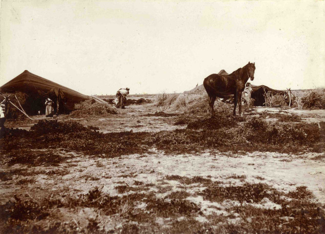 Un campement.