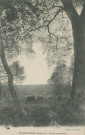 Peyrelevade : "Peyrelevade (Corrèze) - Scène champêtre".