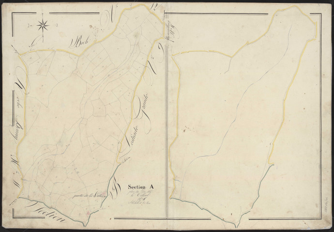 Section A10 du Tilleul