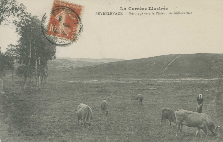 Peyrelevade : "La Corrèze illustrée - Peyrelevade - Pâturage vers le plateau de Millevaches".
