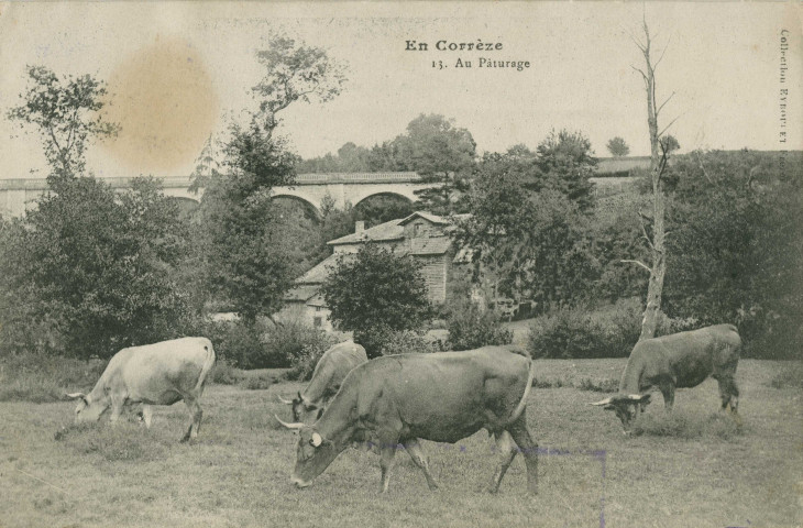 Folklore : "En Corrèze. 13. - Au pâturage".