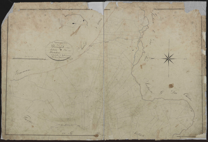 Section D1 de Florentin