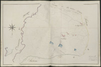 Section A2 de Lortholary