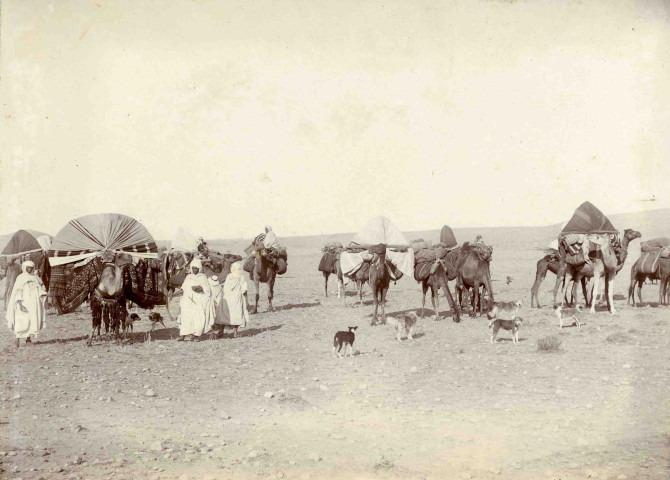 Caravane des arabes Cheraga se rendant dans le Tell.