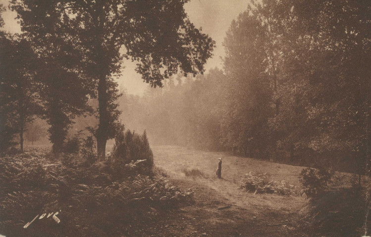 Corrèze : "Toute la France - N° 503 - En Limousin - Clairière".