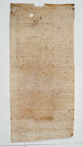 Parchemin lacunaire en latin : acte concernant François de la Tour, vicomte de Turenne. 1527