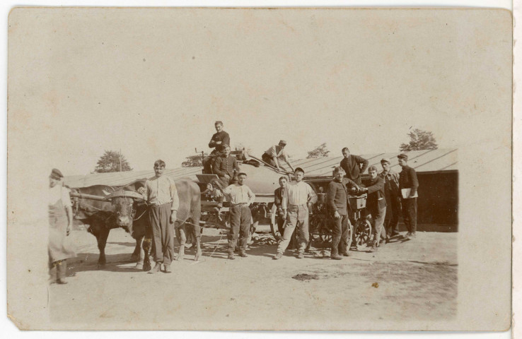 [Camp de Würzburg] : groupe de prisonniers avec un attelage de bœufs.