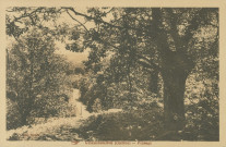 Chamboulive : "Chamboulive (Corrèze) - Paysage".