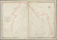 Section A1 de Taphaleschas