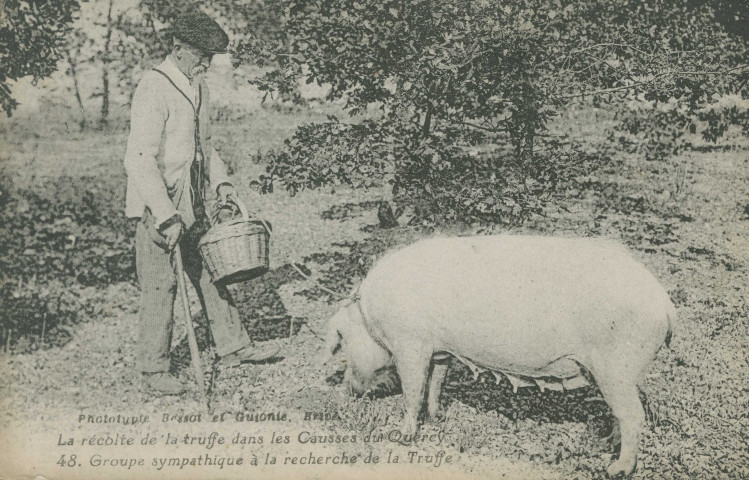 Folklore : "La récolte de la truffe dans les Causses du Quercy - 48. Groupe sympathique à la recherche de la truffe".