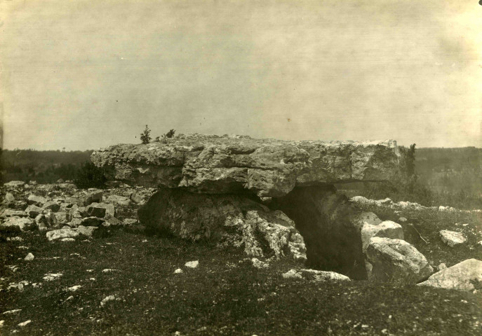 Saint-Cernin-de-Larche : Dolmen de la Palein.
