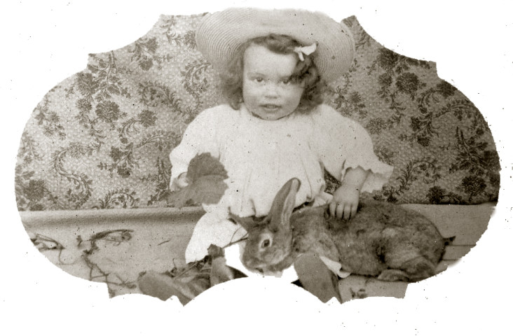 Portrait en pied d'un jeune enfant et lapin.