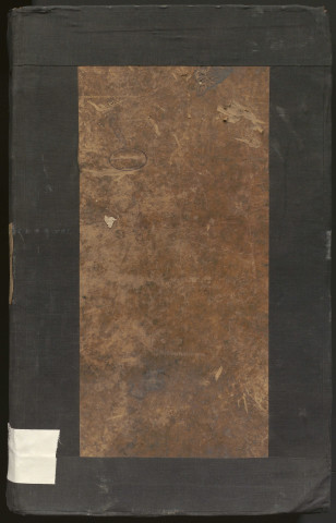 Enregistrement des lettres-patentes du roy (1789-1790), des lois (1791-1792), des décrets (1792-An II). Délibérations du conseil municipal (23 janvier 1791-9 juin 1817).