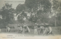 Folklore : "Les travaux à la campagne - 140 - Les foins - Faucheurs au travail".