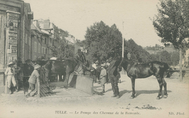 Tulle : "20 Tulle. - Le pesage des chevaux de la remonte.". Sur le kiosque figure une affiche pour la pièce de Feydeau "Le système Ribadier".