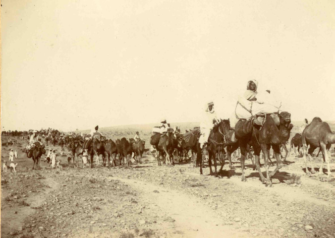 Caravane en cours de traversée.