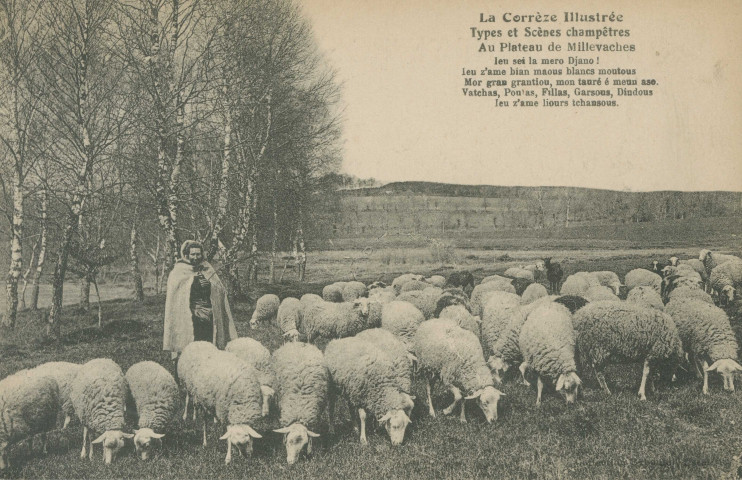 Folklore : "La Corrèze illustrée -Types et scènes champêtres - Au plateau de Millevaches". Texte en langue limousine.