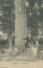 Objat : "Objat - Le gros chêne". Jeune garçon et sa bicyclette dite "taquet" (mouvement en appuyant et non en tournant les pédales).