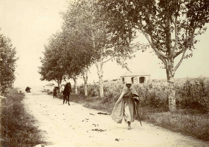 Une route.