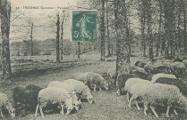 Treignac : "28 - Treignac (Corrèze) - Paysage".