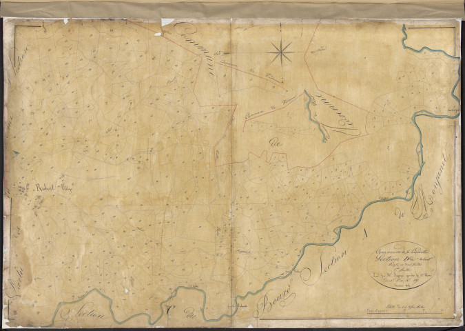 Section D1 de Robert