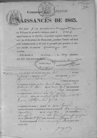 Naissances, mariages, décès (1863-1872)