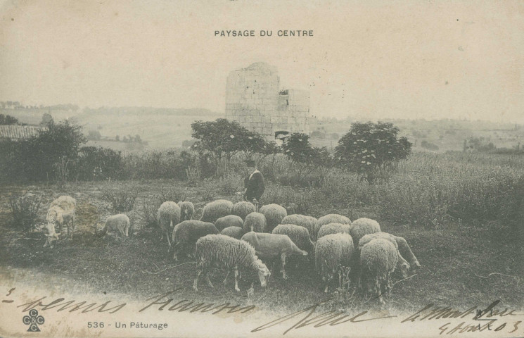 Folklore : "Paysage du Centre - 536 - Un pâturage".