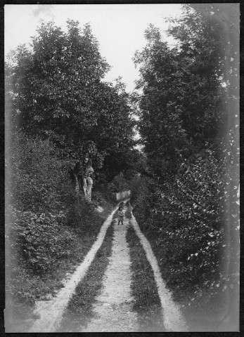 Petit enfant dans un chemin.
