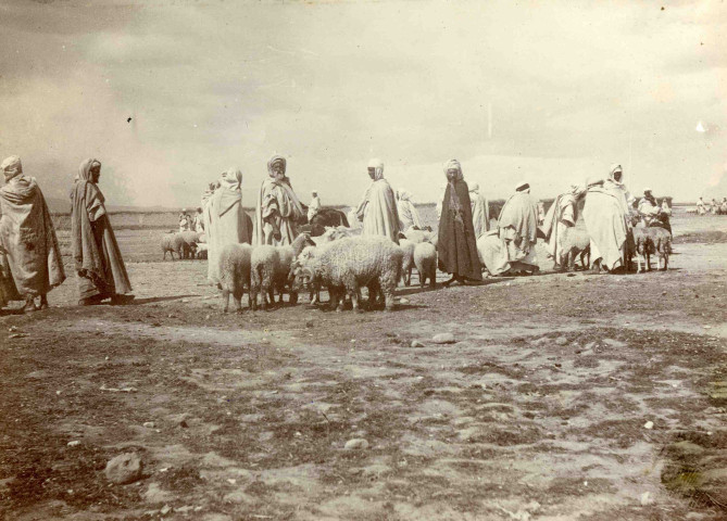 Marchands de moutons.