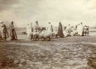 Marchands de moutons.