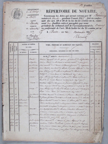 Répertoire chronologique : 4 novembre 1855-31 décembre 1858