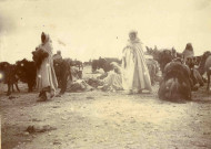 Marché de dromadaires, mules et mulets.