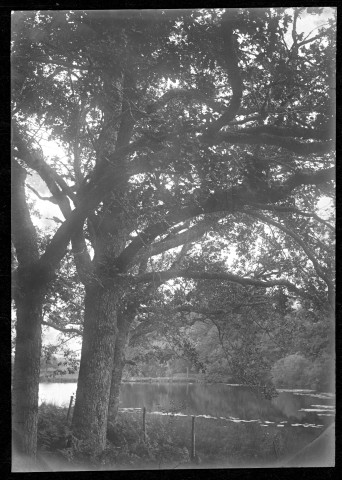 Vue d'une partie de l'étang [de Ruffaud].