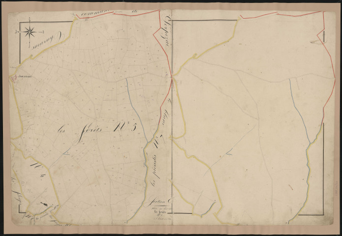 Section E5 des Forêts
