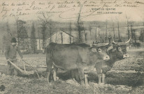 Folklore : "Scène du Centre - 537 - Le labourage".