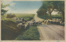 Folklore : "Excursions en Corrèze - 10 - Sur les hauts plateaux, les calmes pâturages".