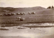 Moutons à proximité de l'oued, hommes à dos de dromadaire.