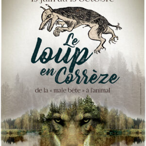 Exposition Le loup en Corrèze